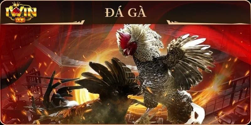 IWIN | Game Bài Thượng Lưu Iwin Club - Link Tải Iwinclub Mới Nhất 20 Đá gà IWIN sở hữu trường gà chọi đầy mê hoặc.