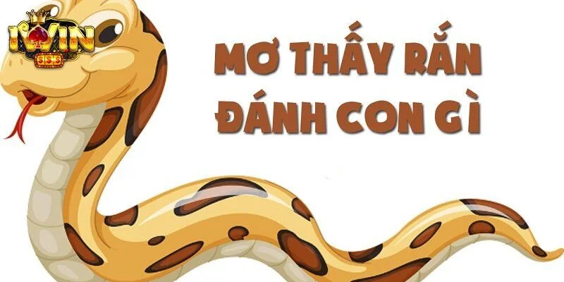 Nằm mơ bị rắn cắn đánh số gì được bet thủ quan tâm. 